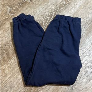 Brandy Melville Rosa Sweatpants in Navy